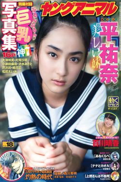 电视剧女医明妃传